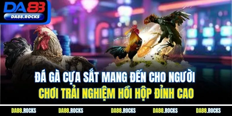 Đá gà cựa sắt mang đến cho người chơi trải nghiệm hồi hộp đỉnh cao