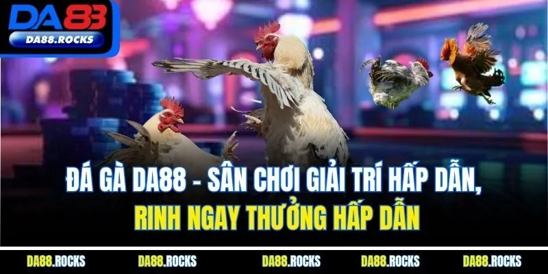 Đá gà DA88 - Sân chơi giải trí hấp dẫn, rinh ngay thưởng hấp dẫn