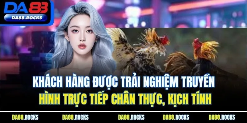Khách hàng được trải nghiệm truyền hình trực tiếp chân thực, kịch tính