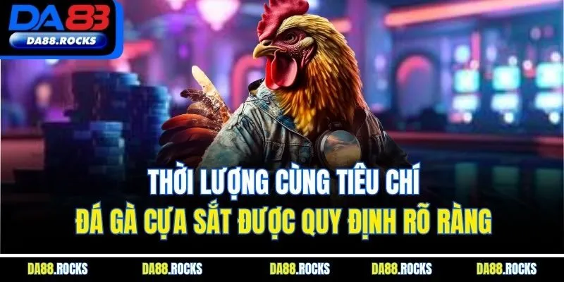 Thời lượng cùng tiêu chí đá gà cựa sắt được quy định rõ ràng