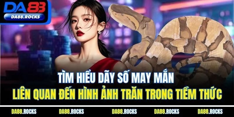 Tìm hiểu dãy số may mắn liên quan đến hình ảnh trăn trong tiềm thức